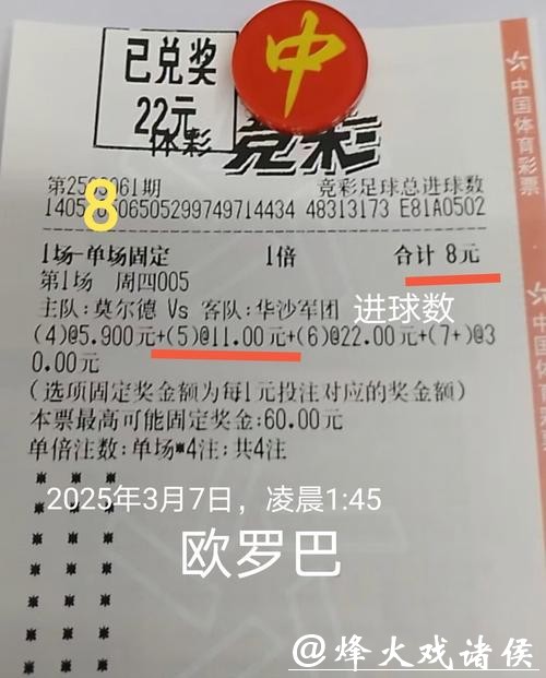 世界杯买球成功案例深度解析 世界杯买球成功案例深度解析